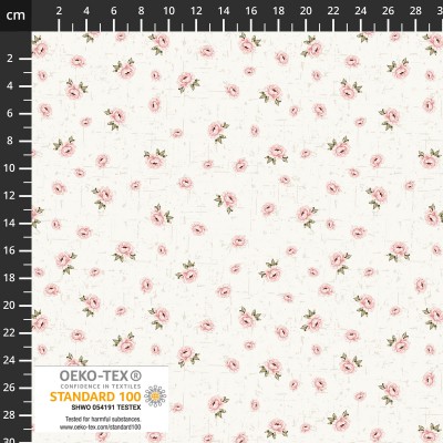 P137-4550-529 PATCH.AMERICANO HOLLIE-ROSE (07) 110 CM. ALGODON 100% CREMA Venta en piezas de 6.00 M