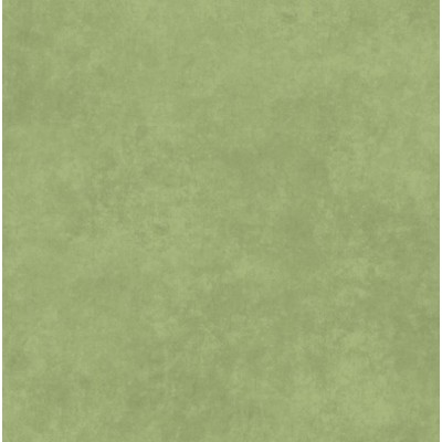 P17-0MAS513-GS2 PATCH. AMERICANO NEW SHADOW PLAY (081) 110 CM. ALGODON 100% THYME Venta en piezas de 7.00 M