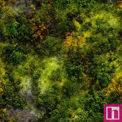 67547 TEJIDO ESTAMPADO NATURALEZA (14) 1.40 M. 110 GR/M2. ALGODON 100% MUSGO Venta en piezas de 5.00 M