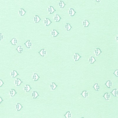 P135-SRKF-21895-462 PATCH. AMERICANO COZY COTTON FLANNEL OVER THE MOON (07) 110 CM. ALGODON 100% MENTA Venta en piezas de 7.00 M