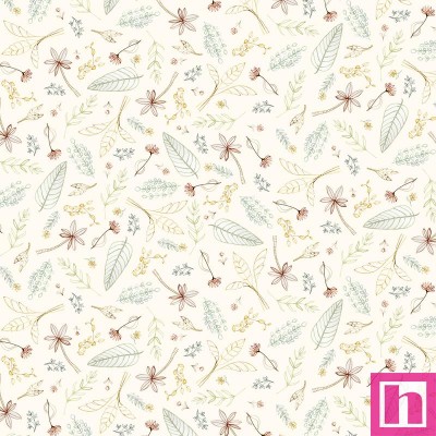 P121-MMEN6119E PATCH. AMERICANO MINI MENAGERIE (13) 110 CM. ALGODON 100% CREMA Venta en piezas de 7.00 M