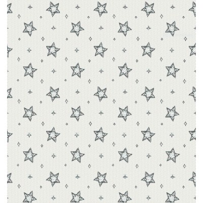 66878 TEJIDO JACQUARD LAPONIE (03) 140 CM.  POLIESTER 71%-ALGODON 29% BLANCO/PLATA Venta en piezas de 10.00 M