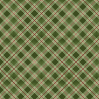 P121-WISO6236G PATCH. AMERICANO WINTER SONG (13) 110 CM. ALGODON 100% VERDE Venta en piezas de 7.00 M