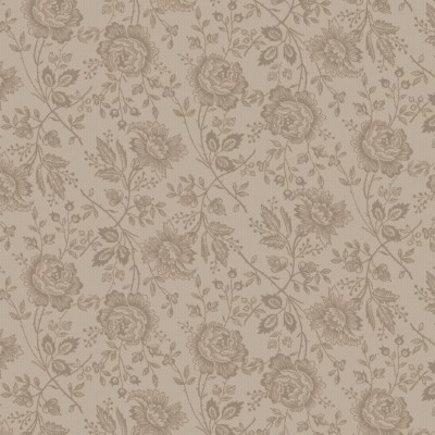 P121-ISAB6410LZ PATCH. AMERICANO ISABELLA (02) 110 CM. ALGODON 100% BEIG Venta en piezas de 7.00 M