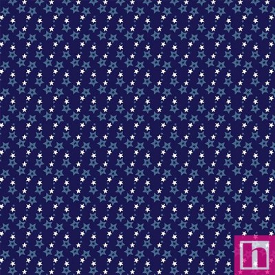 P133-14487-58 PATCH.AMERICANO DOCUMENTARIES (22) 110 CM. ALGODON 100% NAVY Venta en piezas de 6.80 M