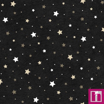 P121-HHAU 5024K PATCH. AMERICANO HAPPY HAUNTING (12) 110 CM. ALGODON 100% NEGRO Venta en piezas de 7.00 M