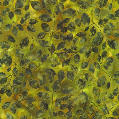 P135-SRK-23941-49 PATCH. AMERICANO ASPEN - BATIKS (15) 110 CM. ALGODON 100% OLIVA Venta en piezas de 7.00 M