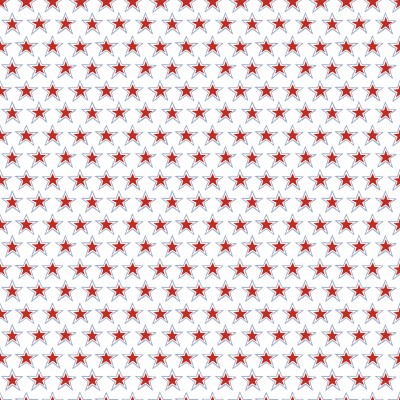 P17-MAS11105-WZ PATCH. AMERICANO REGATTA DAYS (05) 110 CM. ALGODON 100% BLANCO Venta en piezas de 7.00 M