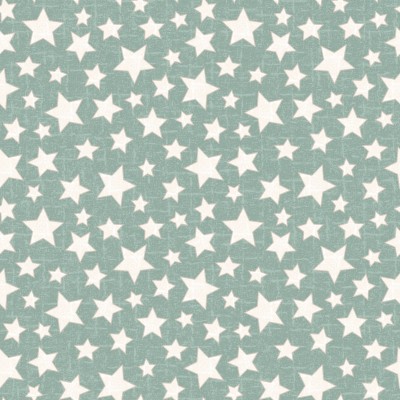 P17-MASF11165-Q PATCH. AMERICANO SNOWTOP MOUNTAIN FLANNEL (14) 110 CM. FRANELA ALGODON 100% VERDE Venta en piezas de 5.50 M