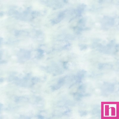 P121-LGOA5940BG PATCH. AMERICANO LETS GO ON ADVENTURE (12) 110 CM. ALGODON 100% CIELO Venta en piezas de 13.72 M