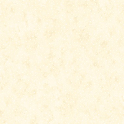 P133-17277-07 PATCH. AMERICANO 12 DAYS OF CHRISTMAS (15) 110 CM. ALGODON 100% CREMA Venta en piezas de 6.80 M