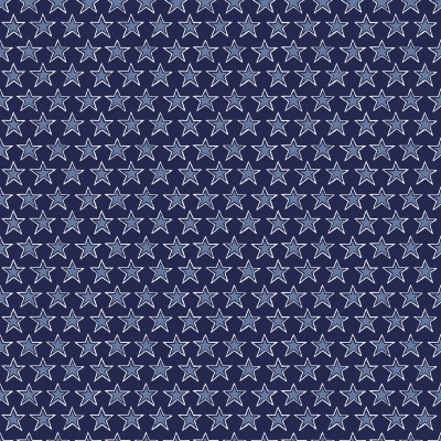 P17-MAS11105-B PATCH. AMERICANO REGATTA DAYS (07) 110 CM. ALGODON 100% MARINO Venta en piezas de 7.00 M