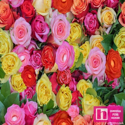64283 LONETA ESTAMPADA ANTIMANCHAS EXPLOSION FLORAL-ROSAS (03) 1.50 M. 210 GR/M2 ALGODON 100% MULTI Venta en piezas de 6.00 M