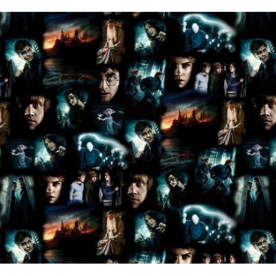 P133-15263-12 PATCH. AMERICANO HARRY POTTER 2ND ED. (01) 110 CM. ALGODON 100% MULTI Venta en piezas de 6.80 M