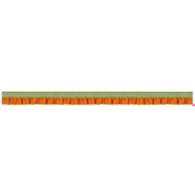 116800-12-8 ERESTO REMATE FRUNCIDO ELASTICO 12 MM. POLIESTER-ELASTICO NARANJA/VERDE Venta en piezas de 20.00 M