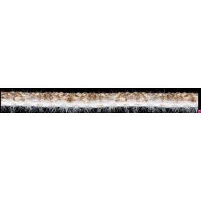 129827-0025 GALON FANTASIA KIKEY 12 MM. POLIAMIDA+ALGODON+METALLIC BLANCO/MARRON Venta en piezas de 20.00 M