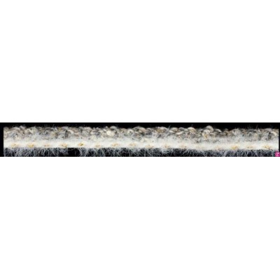 129827-0027 GALON FANTASIA KIKEY 12 MM. POLIAMIDA+ALGODON+METALLIC BLANCO/GRIS Venta en piezas de 20.00 M