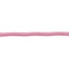 43476 PUNTILLA NYLON FRAMBUESA 10 MM. POLIAMIDA 100% MAQUILLAJE Venta en piezas de 50.00 M