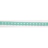 9627-031 PUNTILLA BOLILLO CASSIA 10 MM. POLIESTER 100% MENTA Venta en piezas de 25.00 M