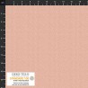 P137-4511-347 PATCH.AMERICANO PETITS POINTS (04) 110 CM. ALGODON 100% PIEL Venta en piezas de 6.00 M