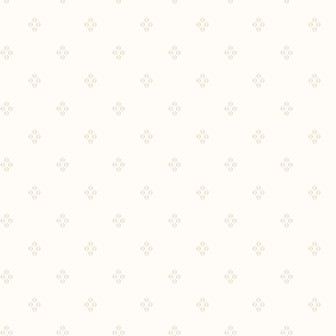 P17-MAS11056-E PATCH. AMERICANO VERANDA (09) 110 CM. ALGODON 100% CREMA Venta en piezas de 7.00 M