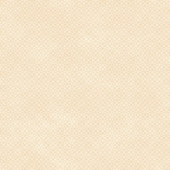 P17-MAS11099-E PATCH. AMERICANO CHRISTMASTIME (24) 110 CM. ALGODON 100% CREMA Venta en piezas de 7.00 M