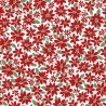 P17-MAS11114-WR PATCH. AMERICANO MERRY MIX (03) 110 CM. ALGODON 100% BLANCO/ROJO Venta en piezas de 7.00 M