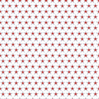 P17-MAS11105-WZ PATCH. AMERICANO REGATTA DAYS (05) 110 CM. ALGODON 100% BLANCO Venta en piezas de 7.00 M