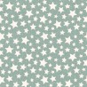 P17-MASF11165-Q PATCH. AMERICANO SNOWTOP MOUNTAIN FLANNEL (14) 110 CM. FRANELA ALGODON 100% VERDE Venta en piezas de 5.50 M