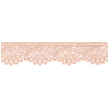 908248-55 PUNTILLA GUIPUR FANTASIA DEVA 42 MM. POLIESTER 100% ROSA Venta en piezas de 9.10 M