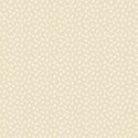 P121-AC18 6422NE PATCH. AMERICANO APPLE CIDER 18 (05) 110 CM. ALGODON 100% BEIG Venta en piezas de 7.00 M