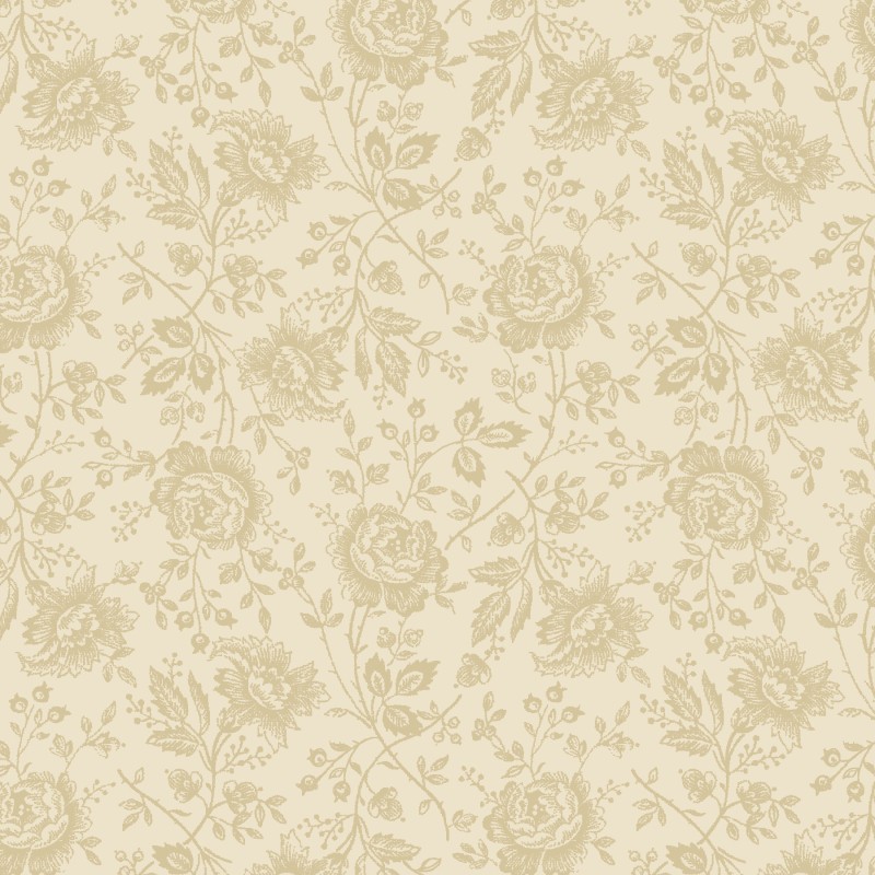 P121-AC18 6427NE PATCH. AMERICANO APPLE CIDER 18 (12) 110 CM. ALGODON 100% BEIG Venta en piezas de 7.00 M