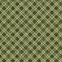 P121-WISO6236G PATCH. AMERICANO WINTER SONG (13) 110 CM. ALGODON 100% VERDE Venta en piezas de 7.00 M