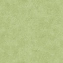 P17-MASQB11240-G PATCH. AMERICANO FINE LINE FLORAL 108 (06) 270 CM. ALGODON 100% VERDE Venta en piezas de 7.00 M
