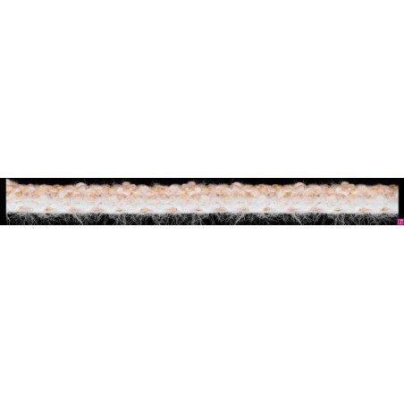 129827-0024 GALON FANTASIA KIKEY 12 MM. POLIAMIDA+ALGODON+METALLIC BLANCO/BEIG Venta en piezas de 20.00 M