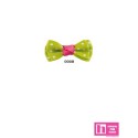 50529 654409-0008_SACHA LAZO BICOLOR LISO 4 CMS POLIESTER 100% PISTACHO/FUCSIA Venta en piezas de 10.00 M