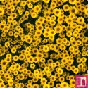 67542 TEJIDO ESTAMPADO NATURALEZA (12) 1.40 M. 110 GR/M2. ALGODON 100% GIRASOLES Venta en piezas de 5.00 M