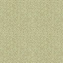 P121-NOVE6401LG PATCH. AMERICANO NOVELLA (21) 110 CM. ALGODON 100% VERDE Venta en piezas de 7.00 M