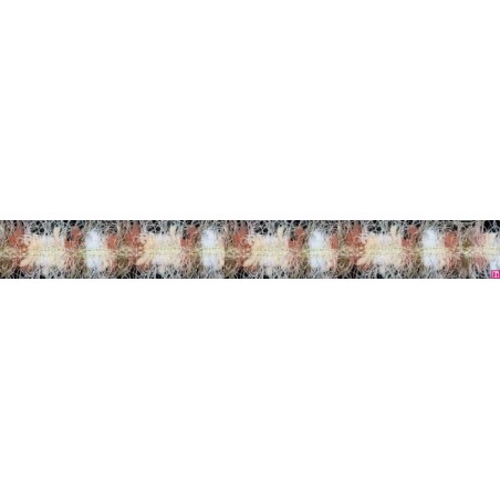 129826-55 GALON FANTASIA LEELA 20 MM. POLIAMIDA+ALGODON+METALIC BEIG Venta en piezas de 20.00 M