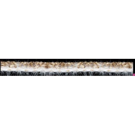 129827-0025 GALON FANTASIA KIKEY 12 MM. POLIAMIDA+ALGODON+METALLIC BLANCO/MARRON Venta en piezas de 20.00 M