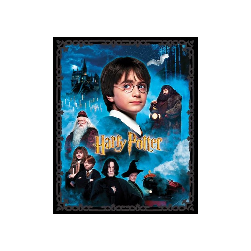 P133-15212-99 PATCH. AMERICANO HARRY POTTER (01) PANEL 90X110 CM. ALGODON 100% MULTI Venta en piezas de 6.80 M