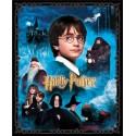 P133-15212-99 PATCH. AMERICANO HARRY POTTER (01) PANEL 90X110 CM. ALGODON 100% MULTI Venta en piezas de 6.80 M