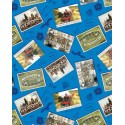P133-15215-56 PATCH. AMERICANO HARRY POTTER (03) 110 CM. ALGODON 100% AZUL Venta en piezas de 6.80 M