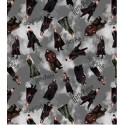 P133-15217-11 PATCH. AMERICANO HARRY POTTER (10) 110 CM. ALGODON 100% GRIS Venta en piezas de 6.80 M