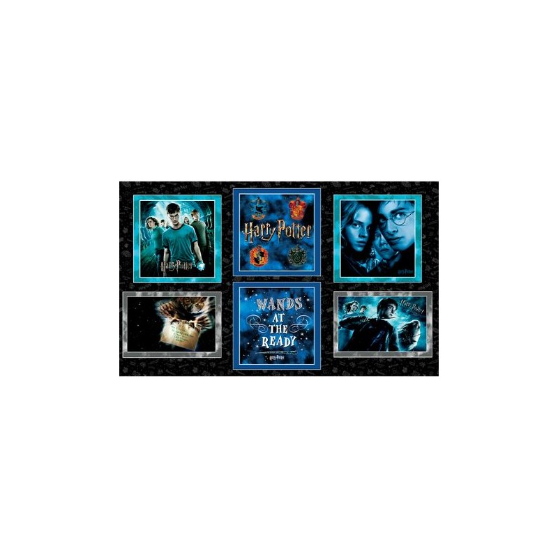 P133-15221W-12 PATCH. AMERICANO HARRY POTTER (04) PANEL 90X150 CM. ALGODON 100% NEGRO Venta en piezas de 6.80 M