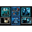 P133-15221W-12 PATCH. AMERICANO HARRY POTTER (04) PANEL 90X150 CM. ALGODON 100% NEGRO Venta en piezas de 6.80 M