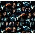 P133-15263-12 PATCH. AMERICANO HARRY POTTER 2ND ED. (01) 110 CM. ALGODON 100% MULTI Venta en piezas de 6.80 M