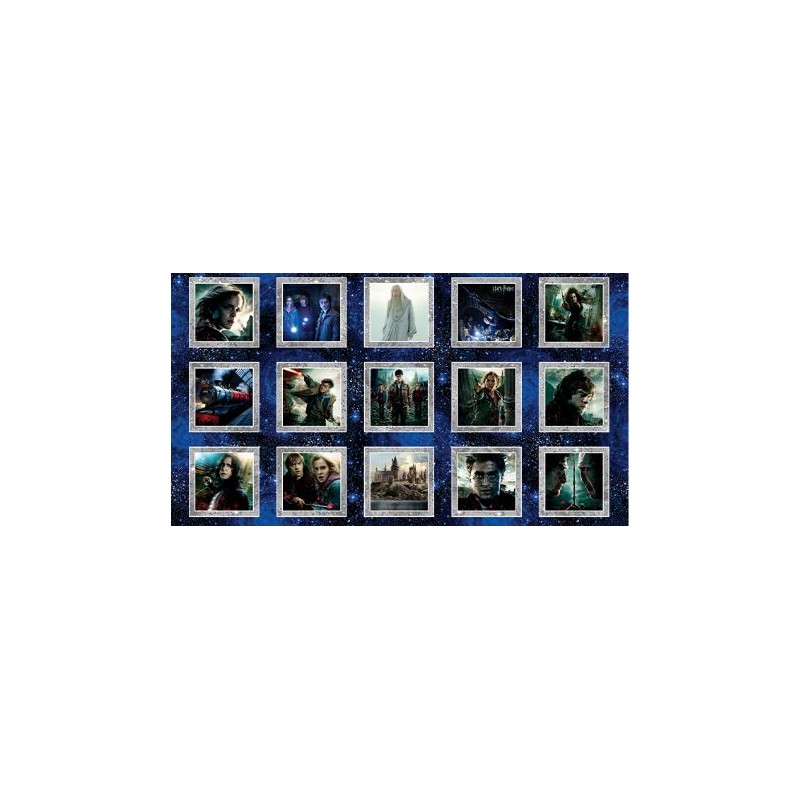 P133-15281-99 PATCH. AMERICANO HARRY POTTER 2ND ED. (03) PANEL 60X110 CM. ALGODON 100% MULTI Venta en piezas de 6.80 M