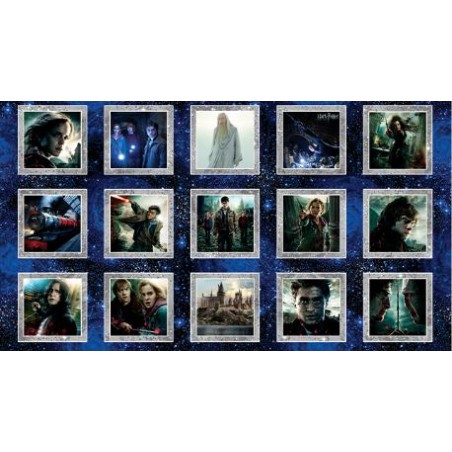 P133-15281-99 PATCH. AMERICANO HARRY POTTER 2ND ED. (03) PANEL 60X110 CM. ALGODON 100% MULTI Venta en piezas de 6.80 M