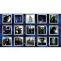 P133-15281-99 PATCH. AMERICANO HARRY POTTER 2ND ED. (03) PANEL 60X110 CM. ALGODON 100% MULTI Venta en piezas de 6.80 M